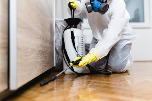 Best Residential Pest Control  in Sour Lake, TX