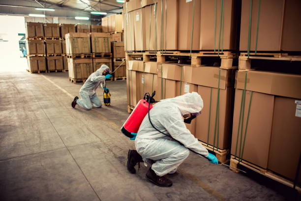 Best Local Pest Control Services  in Sour Lake, TX