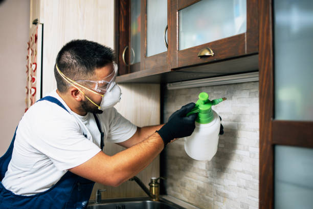 Trusted Sour Lake, TX Pest Control Experts
