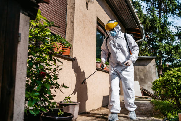 Best Best Pest Control Companies  in Sour Lake, TX
