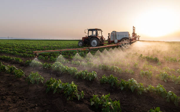 Best Wildlife Control Services  in Sour Lake, TX