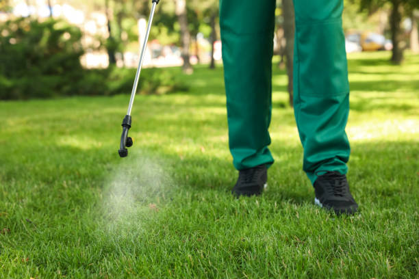 Best Residential Pest Control  in Sour Lake, TX