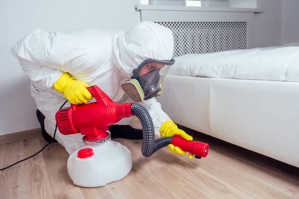 Best Mosquito Control Services  in Sour Lake, TX