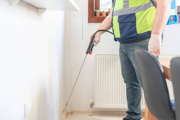 Best Emergency Pest Control  in Sour Lake, TX