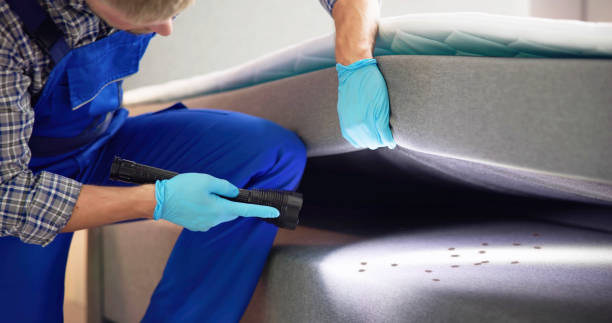 Best Termite Control Services  in Sour Lake, TX